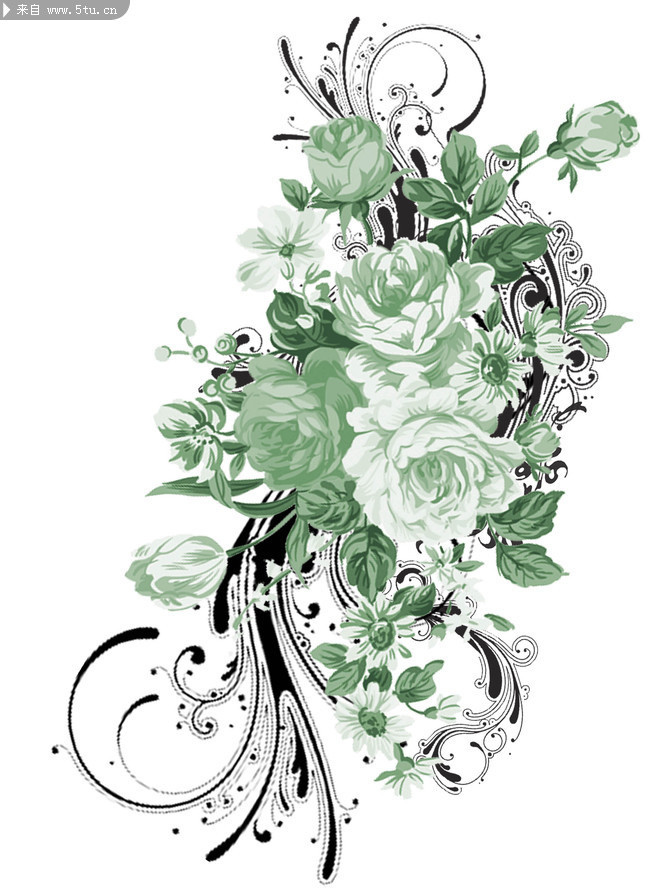 精美花卉圖片 插畫(huà)psd素材