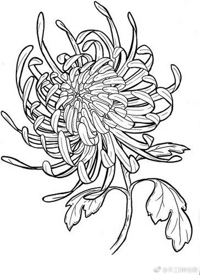 花卉簡筆畫