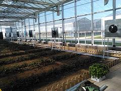 【LOOK!】山東養殖暖風機【園藝暖風機廠家】濰坊大棚暖風機-青州市 爐具廠提供【LOOK!】山東養殖暖風機【園藝暖風機廠家】濰坊大棚暖風機的相關介紹、產品、服務、圖片、價格取暖風機、水暖鍋爐、熱風機廠家、養殖取暖鍋爐、生物質鍋爐廠家、大棚花卉養殖鍋爐、