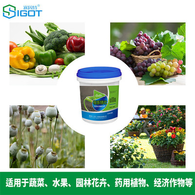 根系特壯液體水溶肥 果樹膨果肥 甜瓜葉面肥廠家圖片_高清圖_細節(jié)圖-賽固特