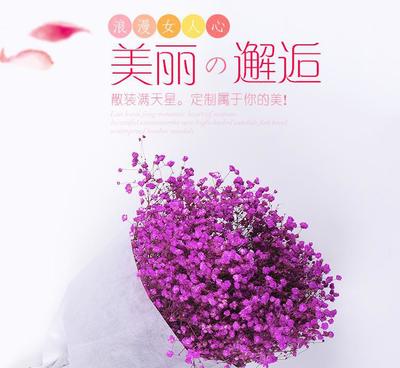 【云南干花批發 散裝滿天星花束 產地直銷純自然風干花束永生花】價格_廠家_圖片 -
