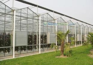 供應園林綠化 濰坊園林綠化 濰坊花卉 濰坊憶美園林溫室建設_農副產品_世界工廠網中國產品信息庫