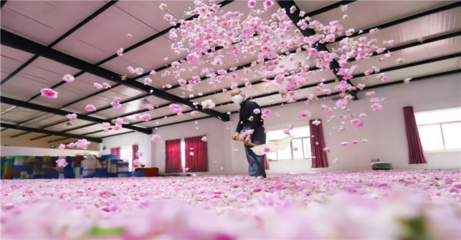 南通海安:栽下產業“花” 結出振興“果”