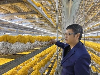 省花卉示范園區又一專家工作站建成