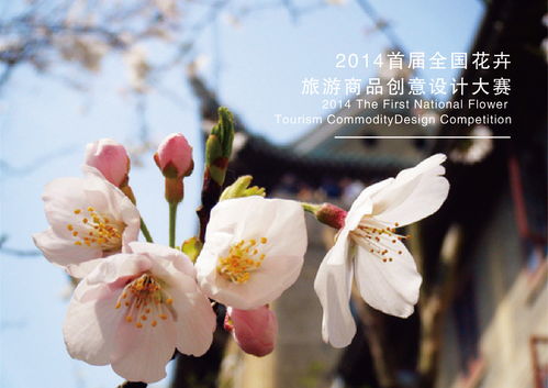 花卉旅游產品設計大賽