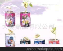 【寵物花卉,魔豆各地代理(圖)】價格,廠家,圖片,娛樂休閑產品代理加盟,大美禮品 -