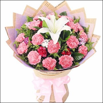 圖 美麗心愿 教師節19枝粉色康乃馨精品花束預訂 成都鮮花綠植
