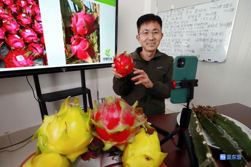 廣饒縣花官鎮 直播帶貨新模式 拓寬致富新路子