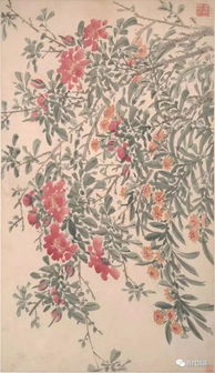 陳淳 花卉圖精品冊 大都會博物館藏