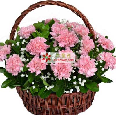 路橋區(qū)母親節(jié)訂花,臺州路橋區(qū)花店,為您傳遞愛的溫暖