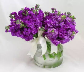 40種常見(jiàn)花卉養(yǎng)護(hù)方法,火速收藏
