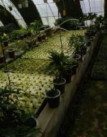 花卉營養液/植物營養液/水培營養液/肥料_農副產品_世界工廠網中國產品信息庫