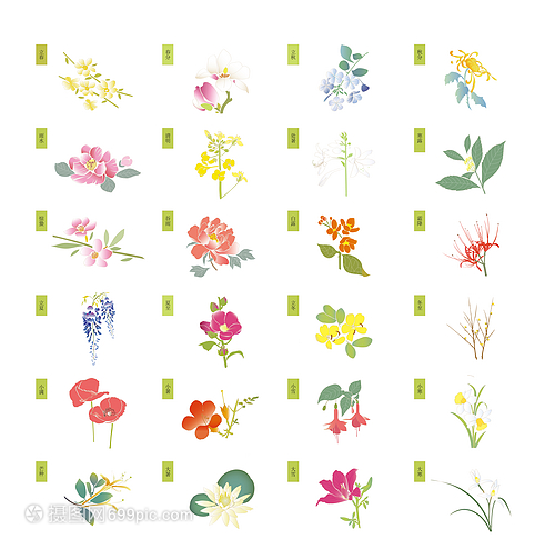 二十四節氣花卉