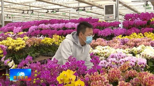 廣電關注丨 暢通交通 血脈 實現互聯互通新突破